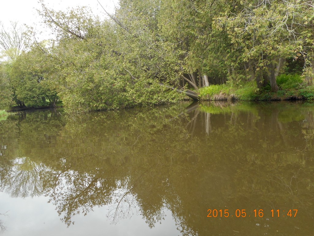 Christopher Greaves BlackRiver20150516_DSCN1117.JPG