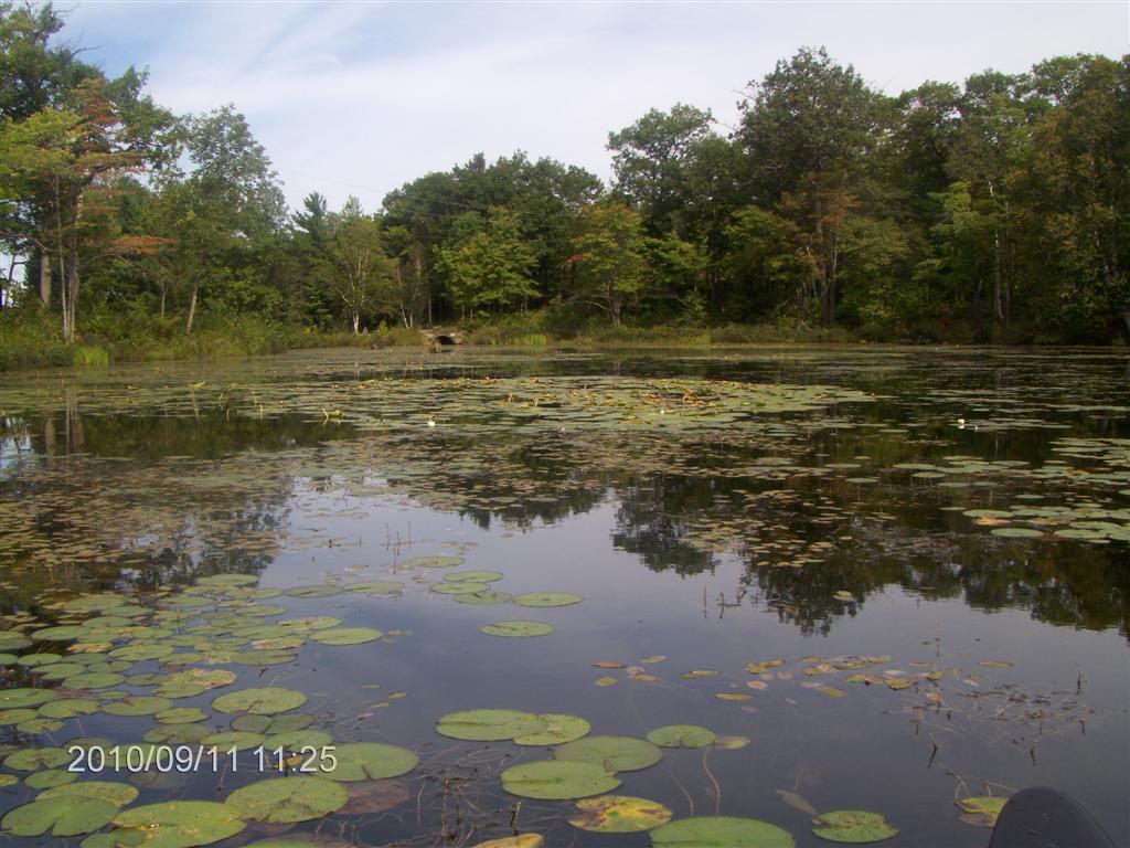 Christopher Greaves SIXMILELAKEPP_HPIM2926.JPG