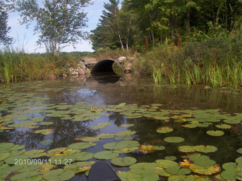 Christopher Greaves SIXMILELAKEPP_HPIM2928.JPG