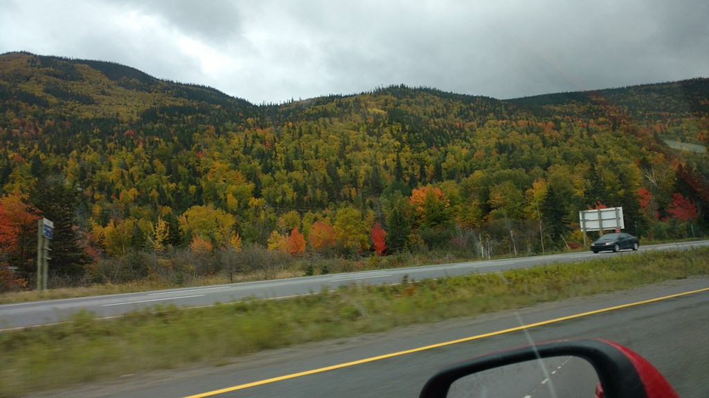 Christopher Greaves Nfld_IMG_20171005_154949192.jpg