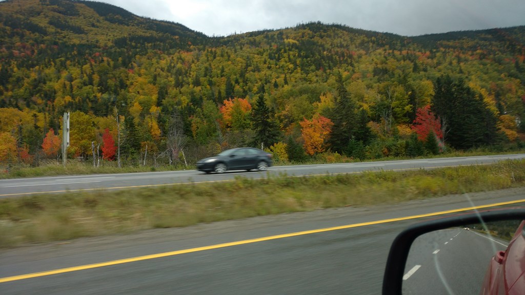 Christopher Greaves Nfld_IMG_20171005_154951406.jpg