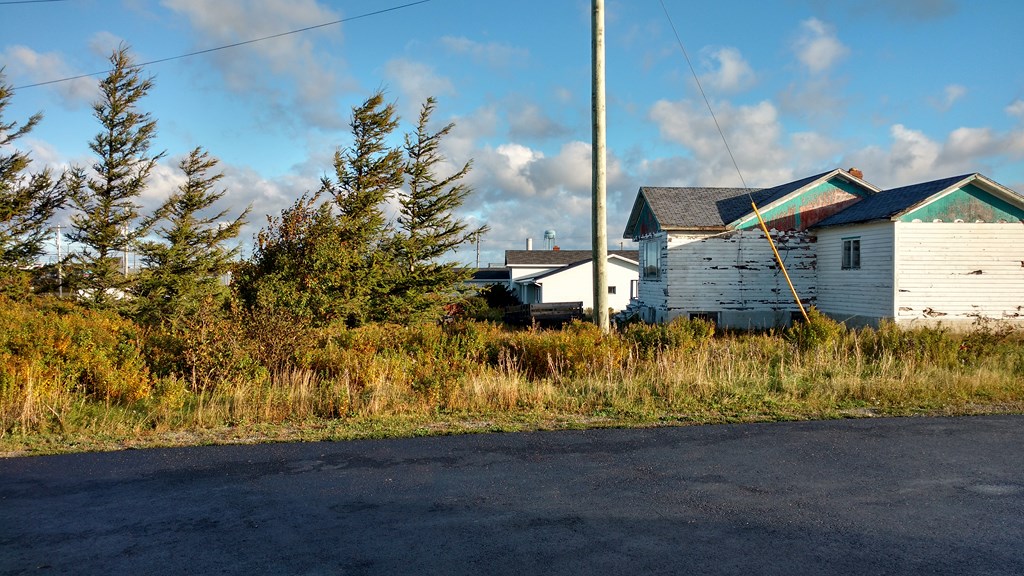 Christopher Greaves Nfld_IMG_20171011_084627942_HDR.jpg