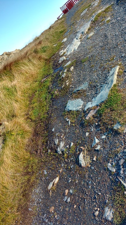 Christopher Greaves Nfld_IMG_20171012_092756211_HDR.jpg